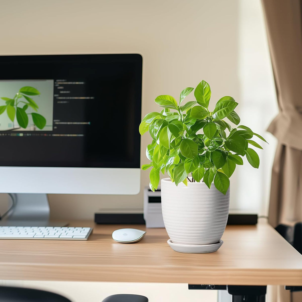 Plant Pot