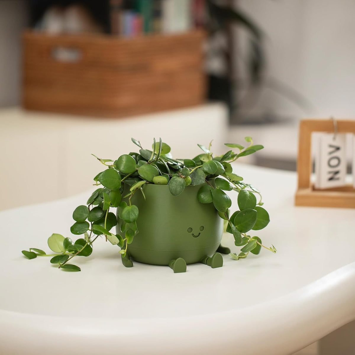Plant Pot