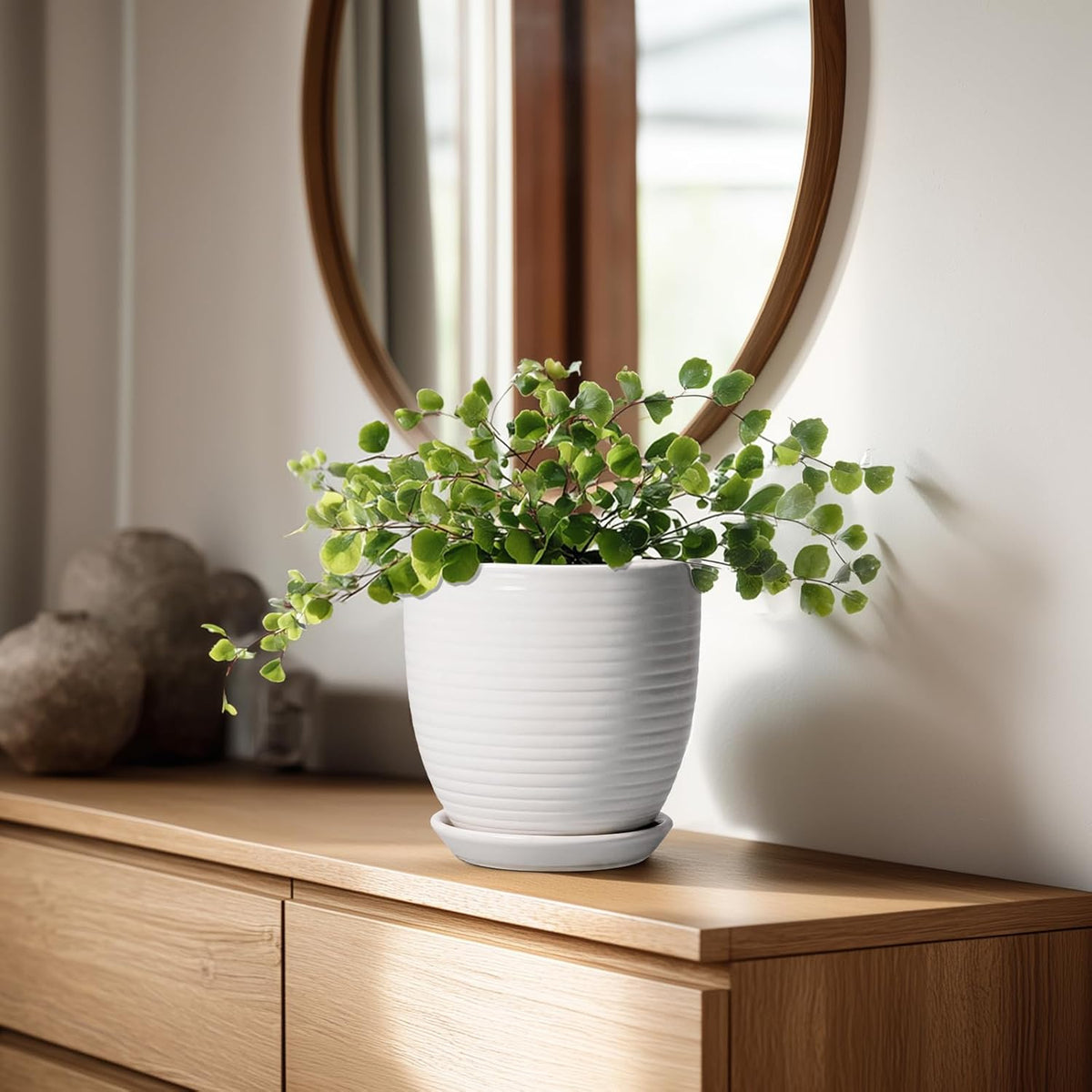 Plant Pot