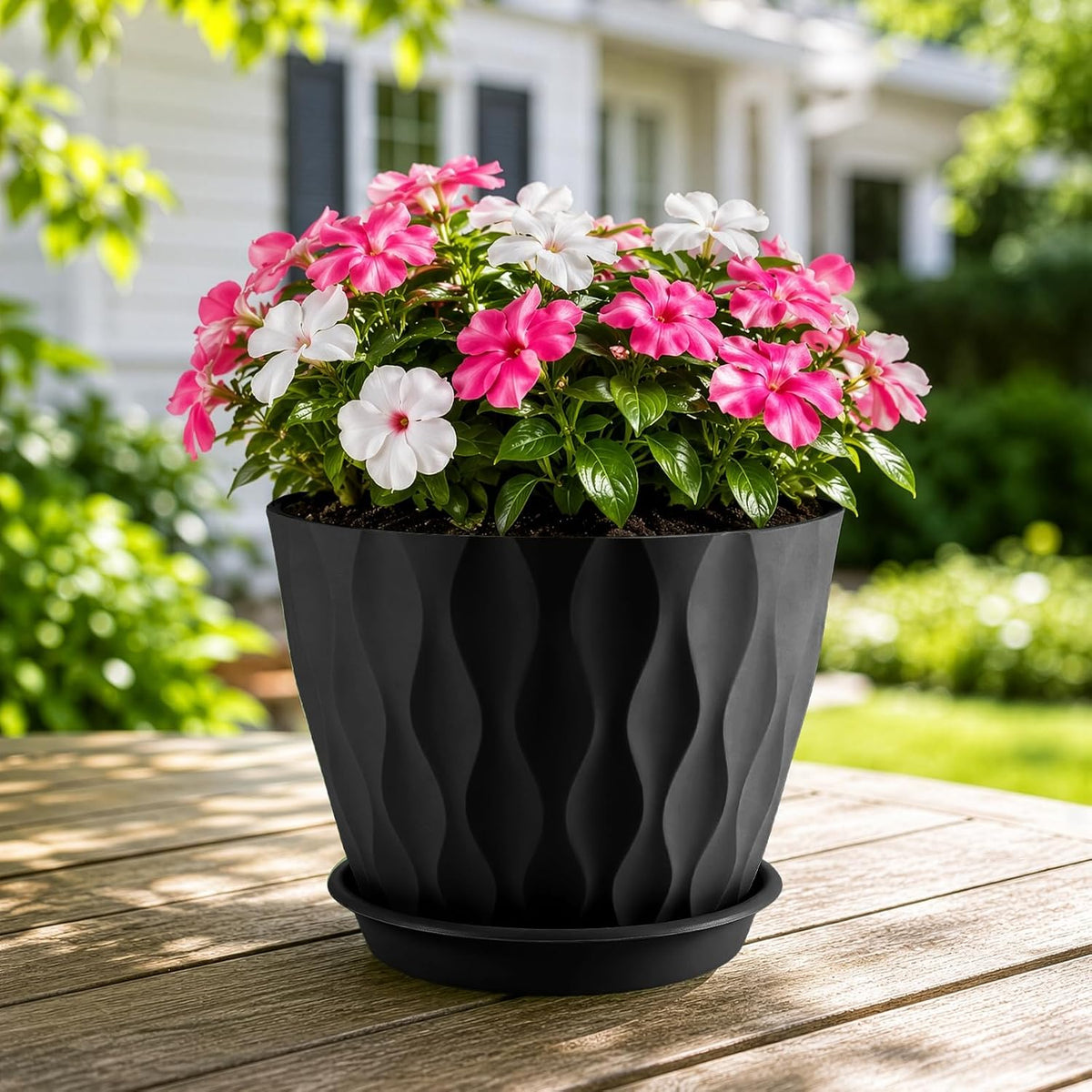 Plant Pot