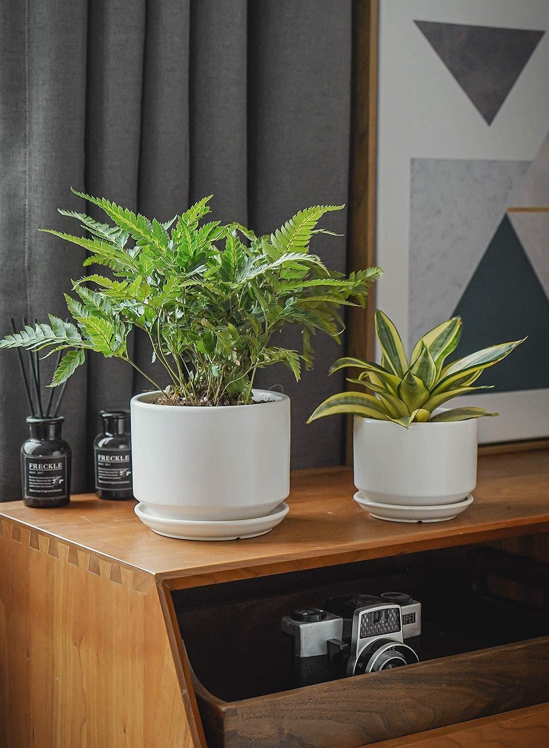 Plant Pot