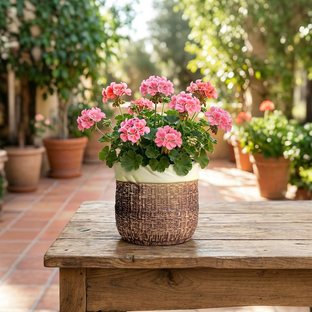 Plant Pot