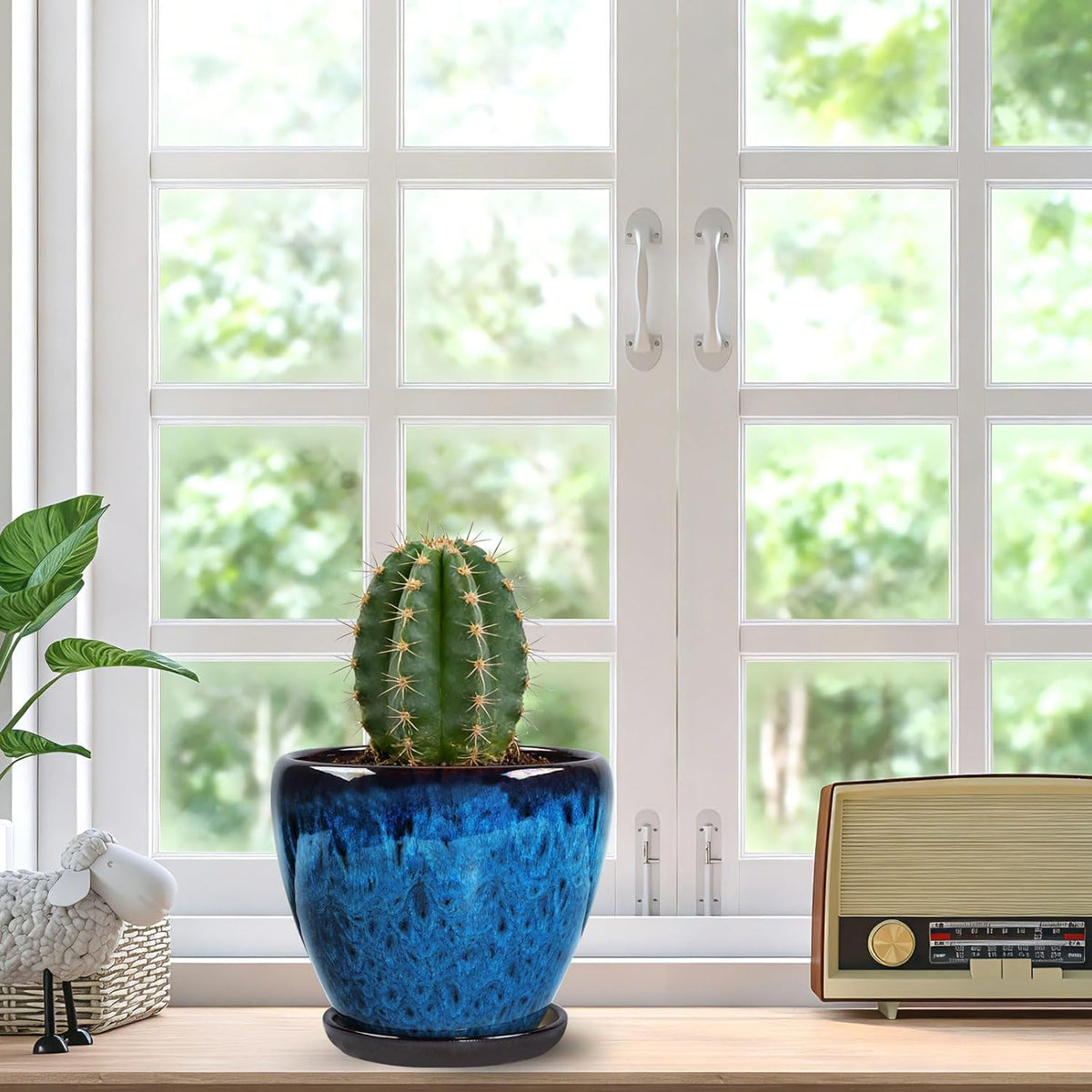 Plant Pot