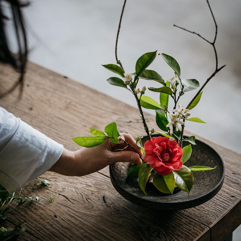 Ikebana frog